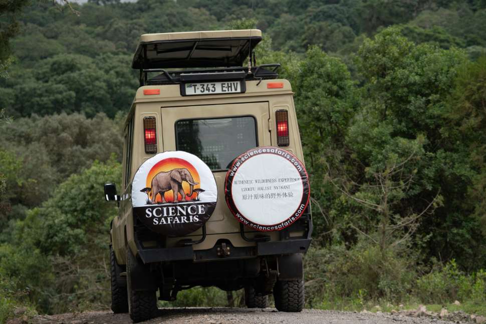 Science Safari - Banner Image.jpg